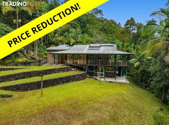 675 Terania Creek Road THE CHANNON NSW 2480