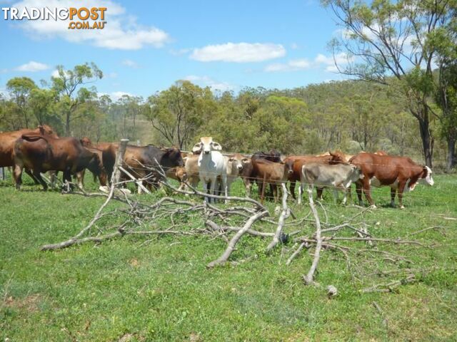 BOWEN QLD 4805