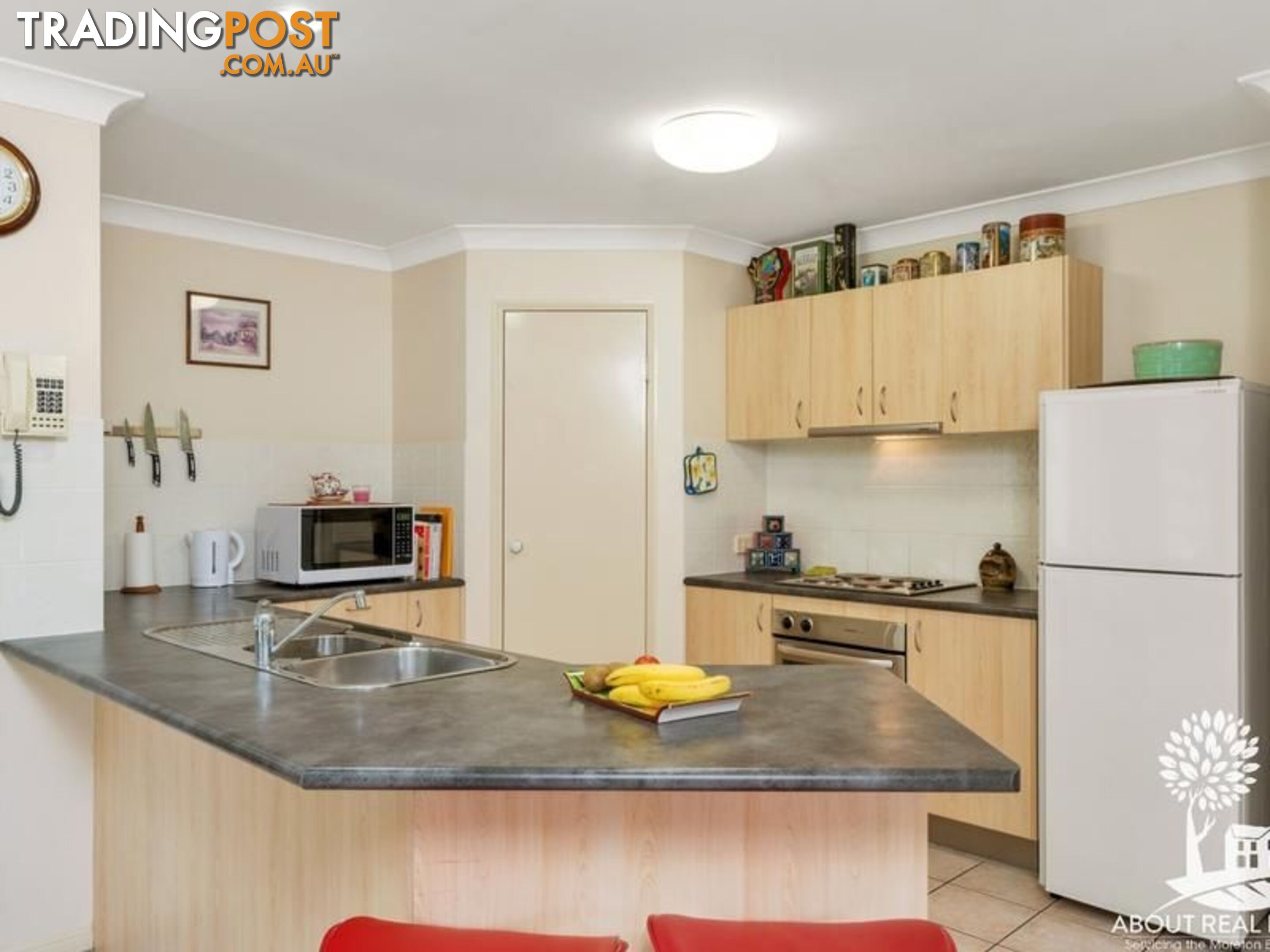 54 cottontree drive NARANGBA QLD 4504