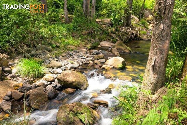 664 Horseshoe Creek Road Upper Horseshoe Creek NSW 2474 - photo 3 of 29