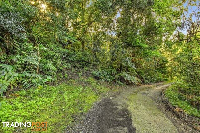 Lot 221 MacKays Road Coffs Harbour NSW 2450 - photo 4 of 10