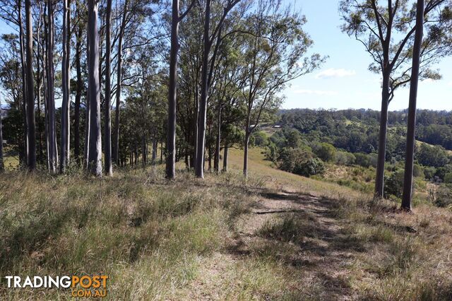 Lots 1 & 1 Sandy Creek Road Veteran QLD 4570