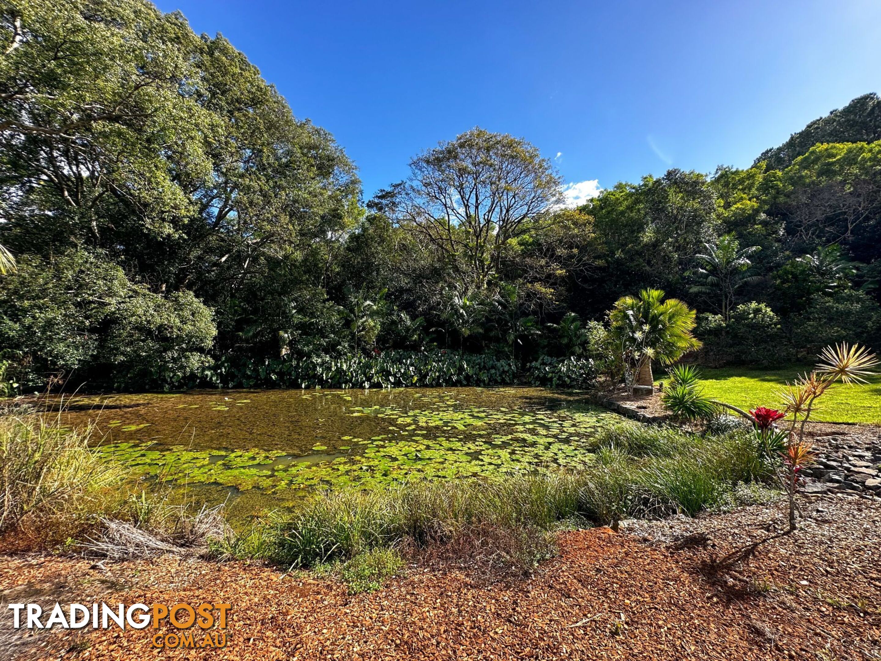 23 Hamptons Place Montville QLD 4560