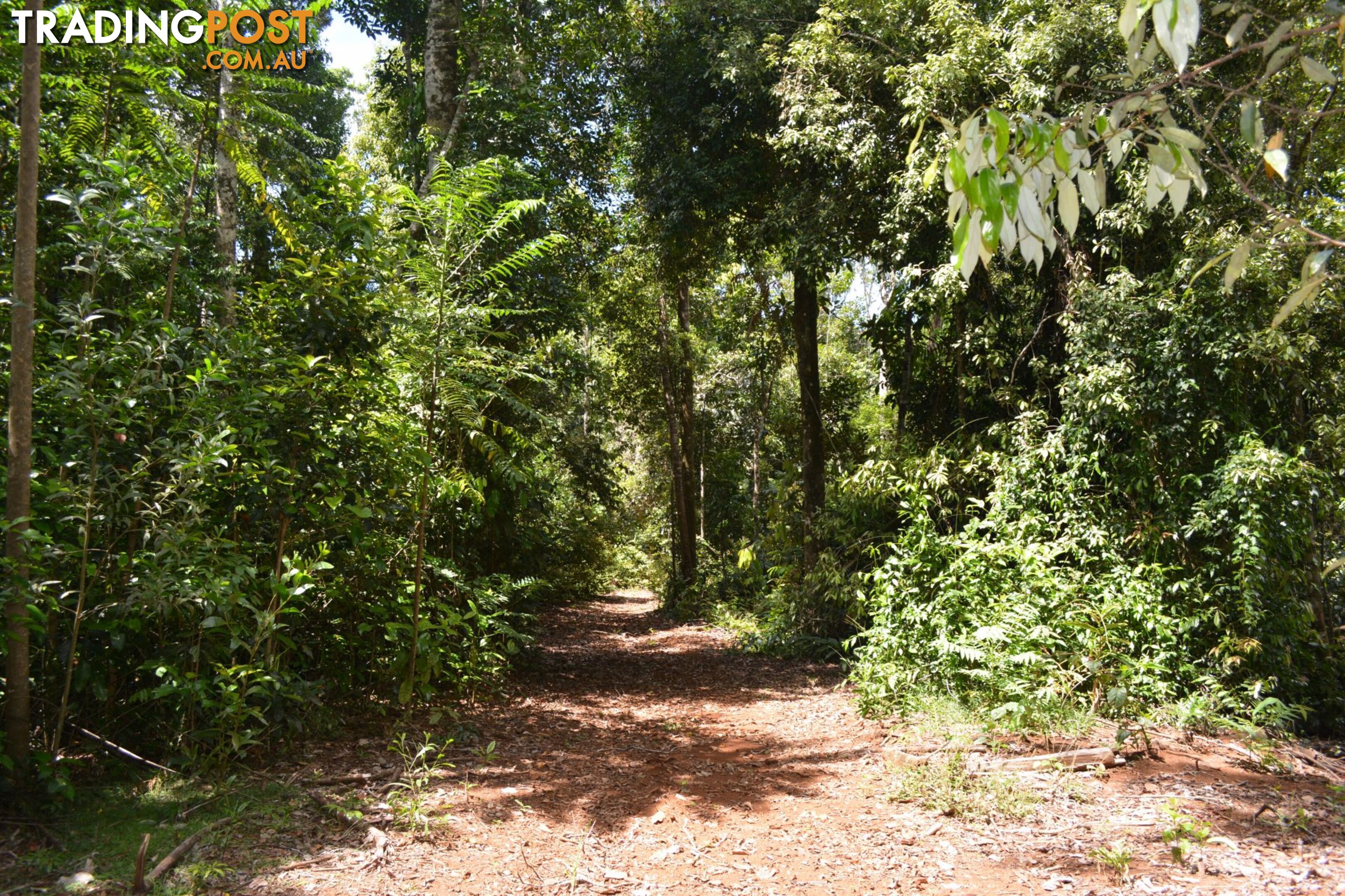 Lot 391 Biggs Road East Beatrice QLD 4886