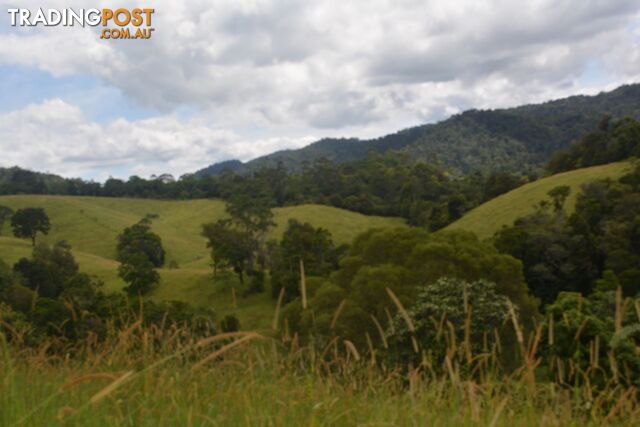 Lot 391 Biggs Road East Beatrice QLD 4886