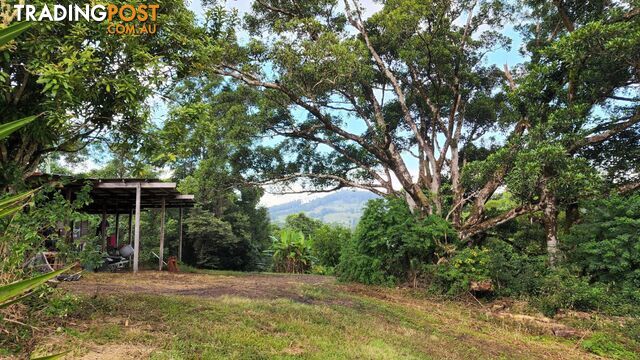 76 Coalmine Road Mount Burrell NSW 2484