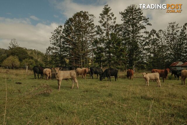 78 Stead Road Jiggi NSW 2480