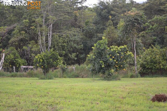 337 East Evelyn Road Millaa Millaa QLD 4886