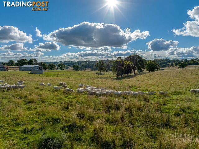 339 Scabben Flat Road Taralga NSW 2580