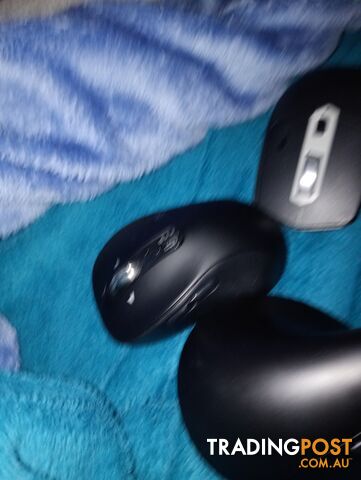 5 computer mice in great condition