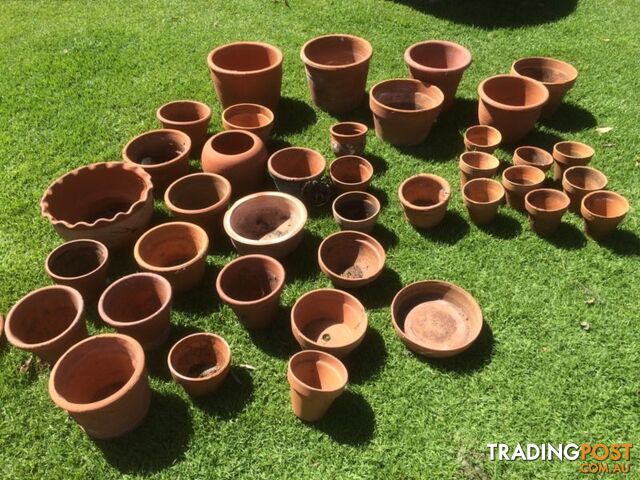 Terracotta plant pots 40
