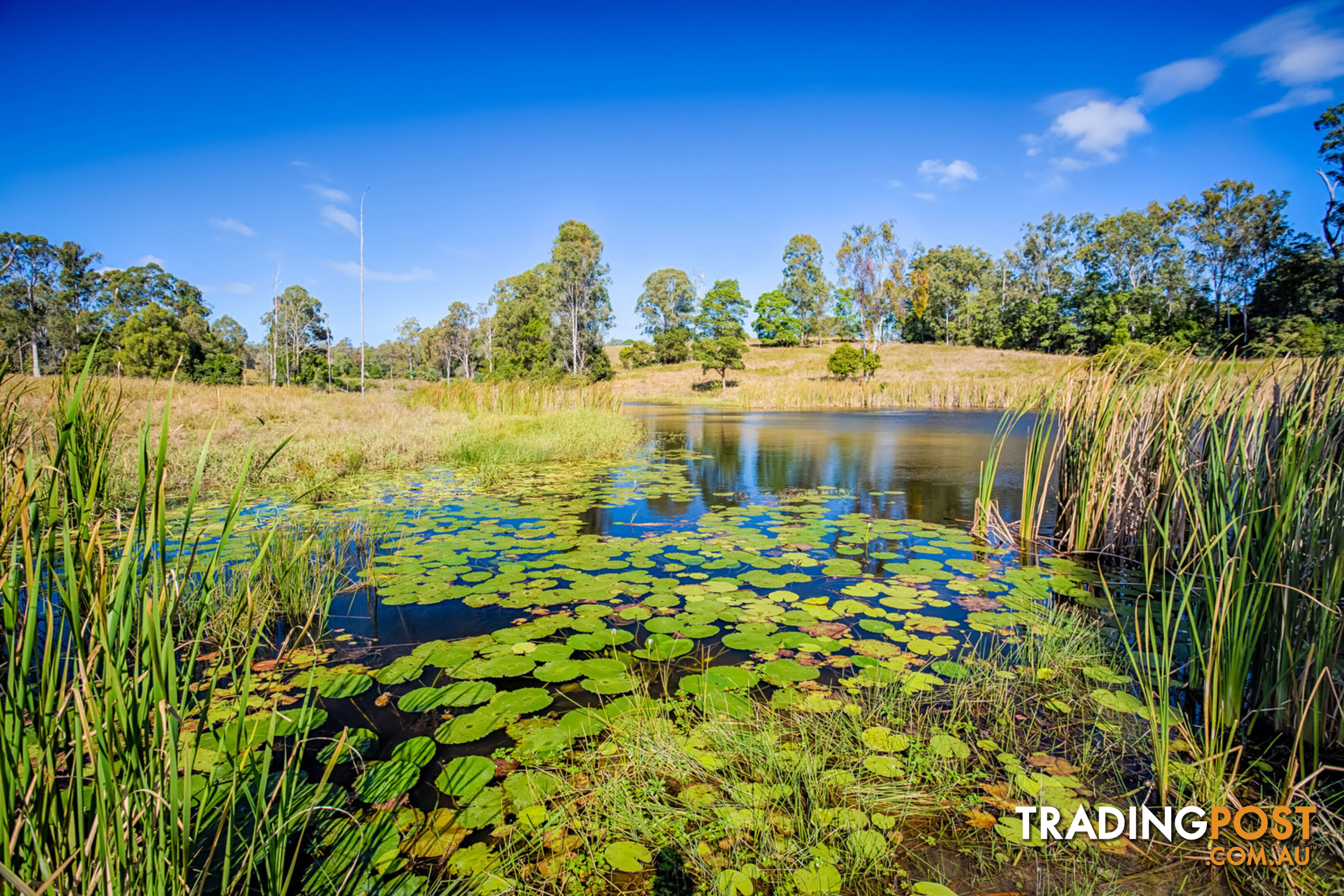 22 Kernke Road Mcintosh Creek QLD 4570