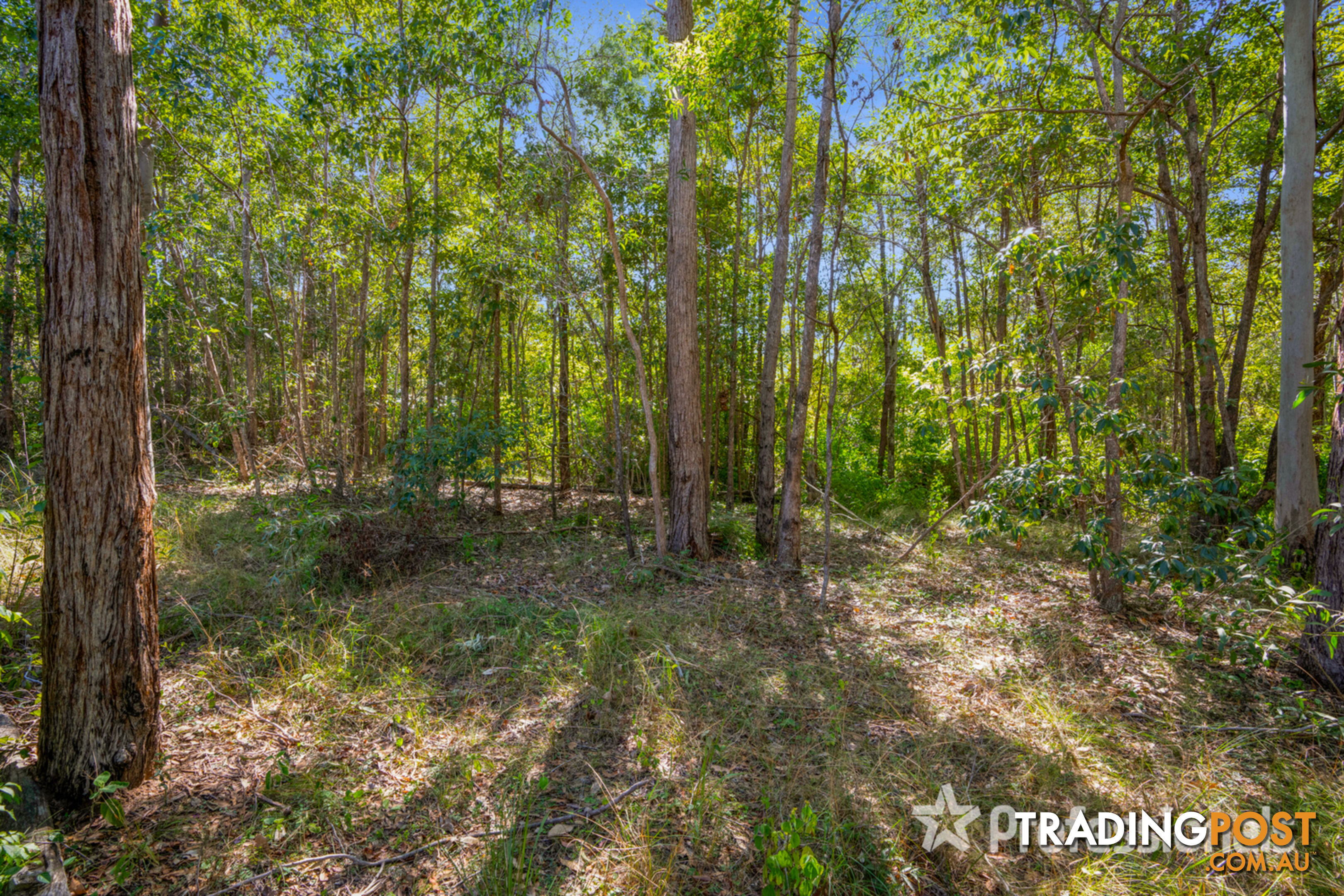 Lot 336 Arboreight Road Glenwood QLD 4570