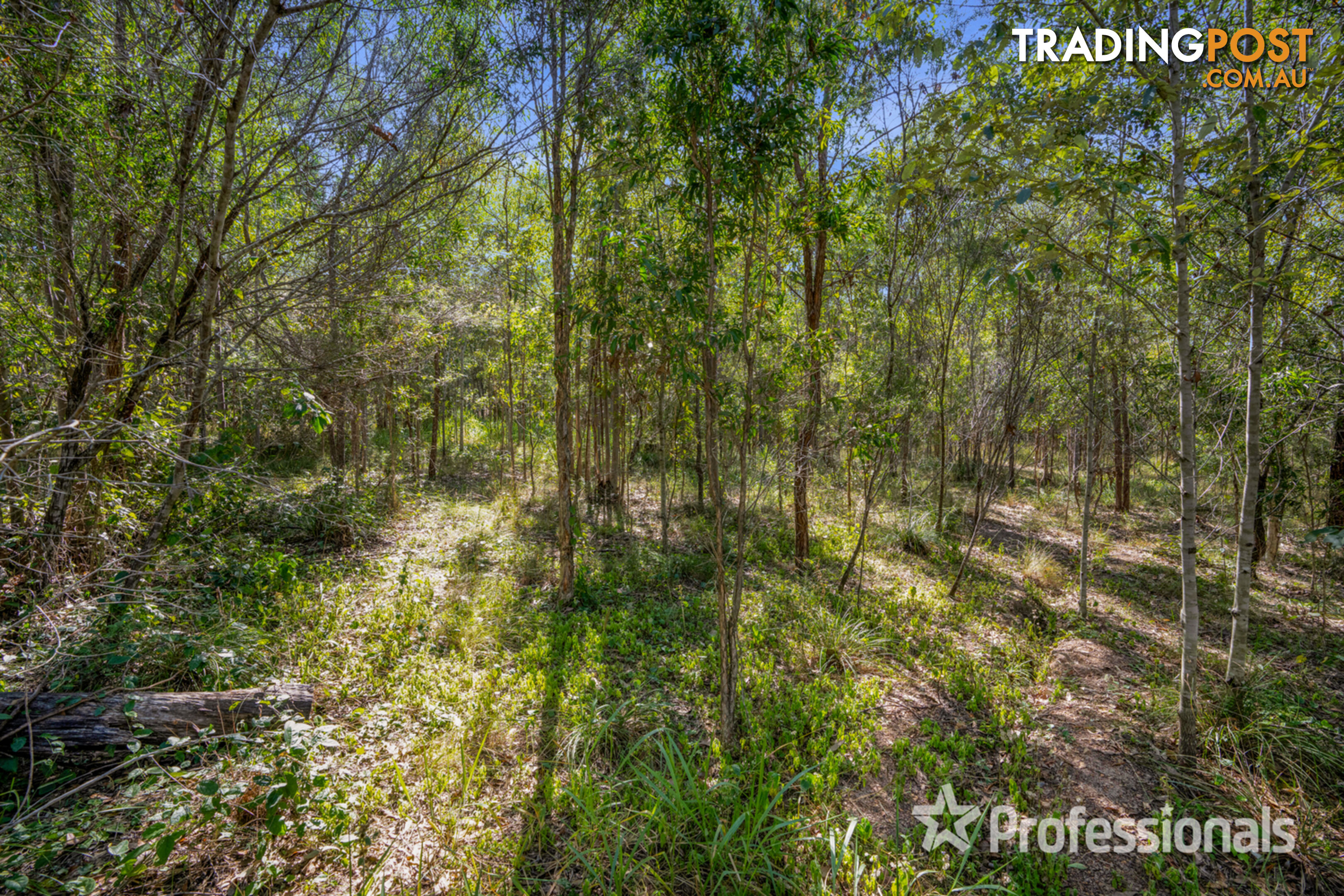 Lot 336 Arboreight Road Glenwood QLD 4570