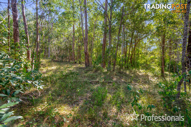 Lot 336 Arboreight Road Glenwood QLD 4570