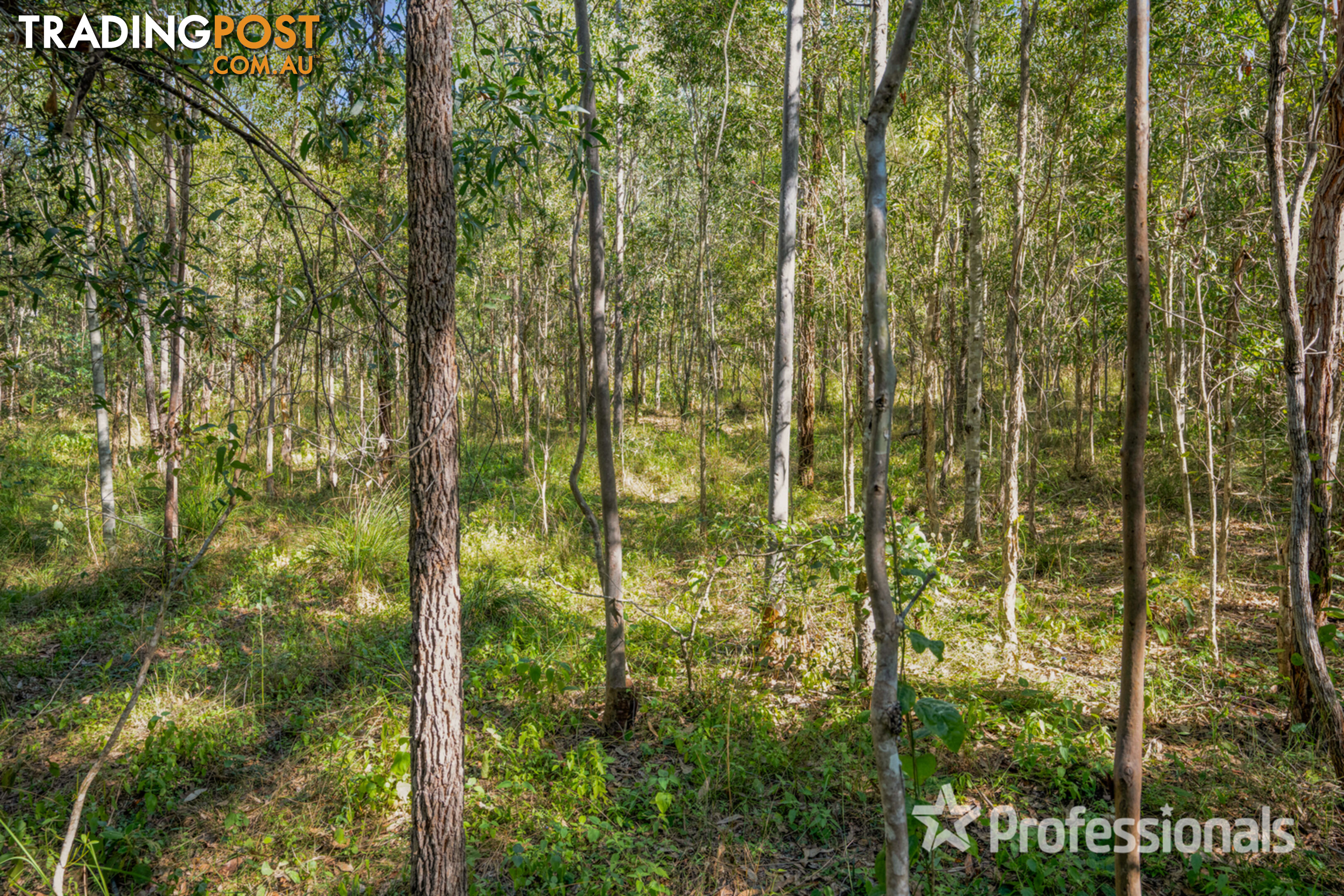 Lot 336 Arboreight Road Glenwood QLD 4570