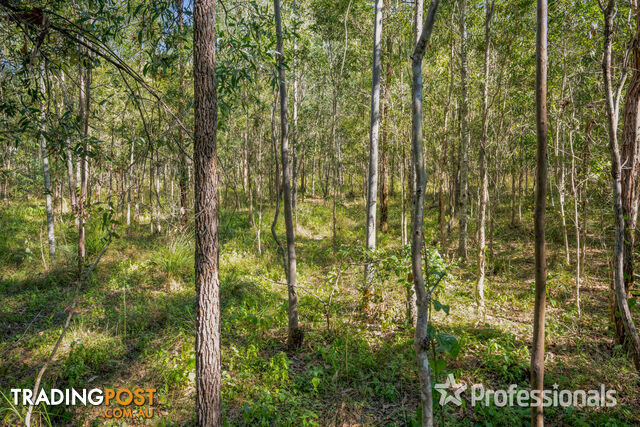 Lot 336 Arboreight Road Glenwood QLD 4570