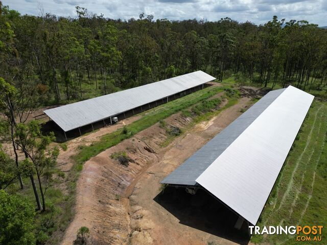 Lot 1511 Leggets Lane Glenwood QLD 4570