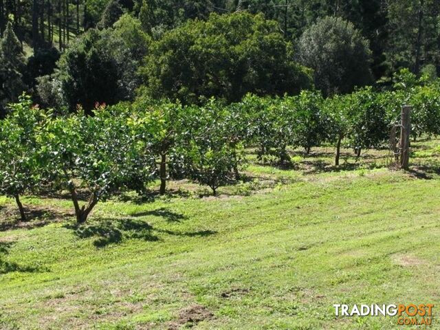 Beenaam Valley QLD 4570