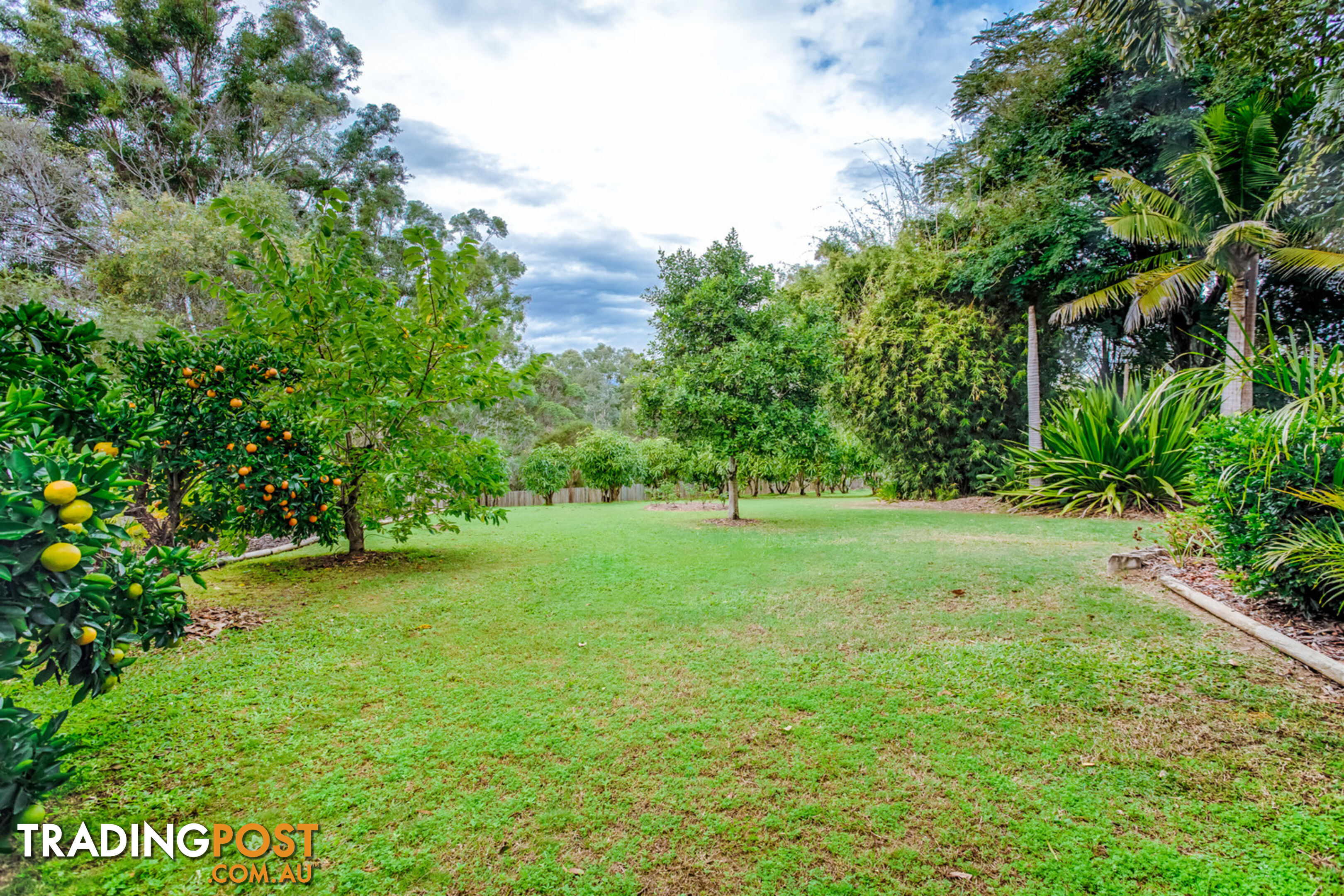 38 OKeeffe Road Mothar Mountain QLD 4570