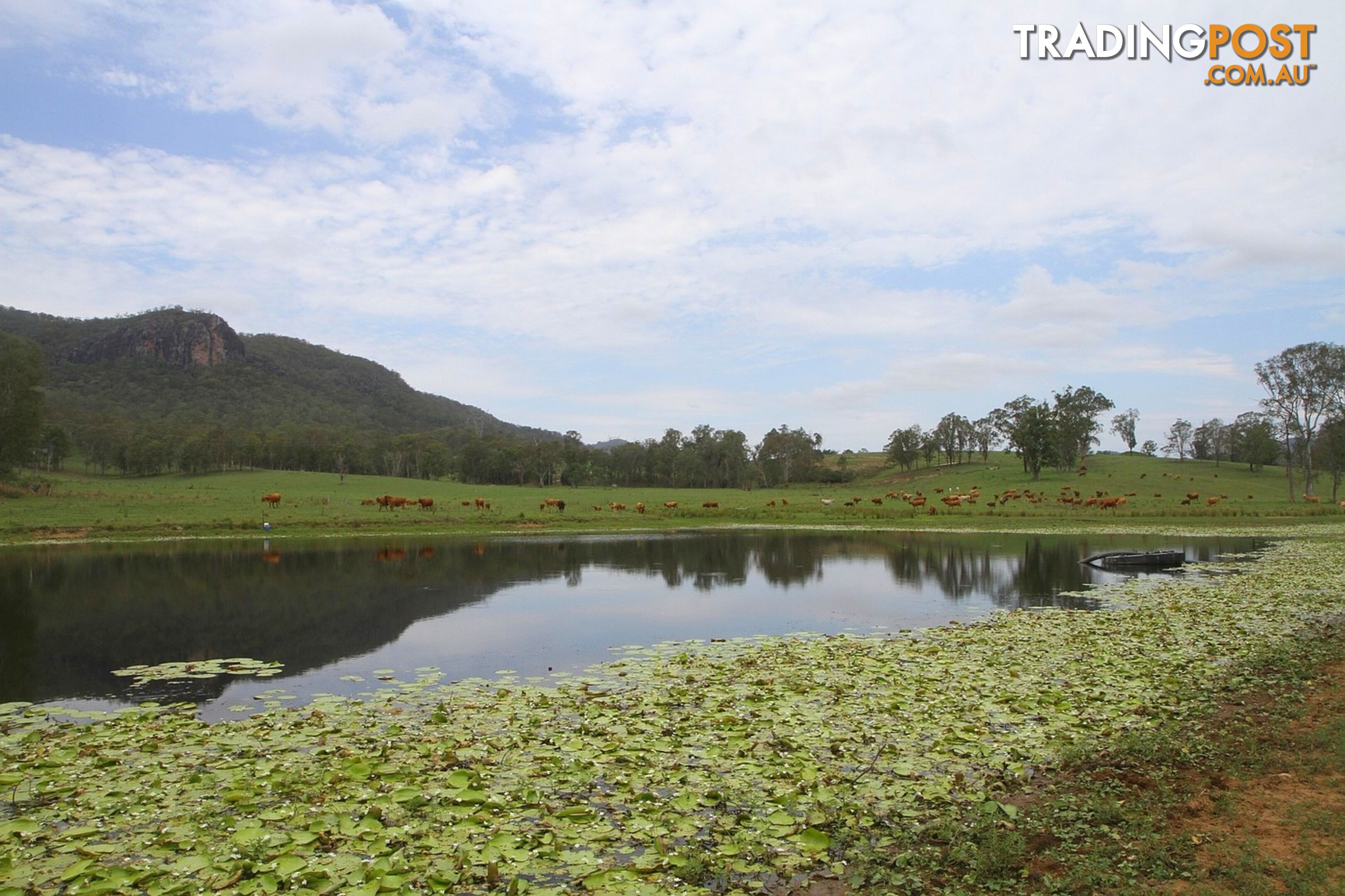 4015 Mary Valley Road Brooloo QLD 4570