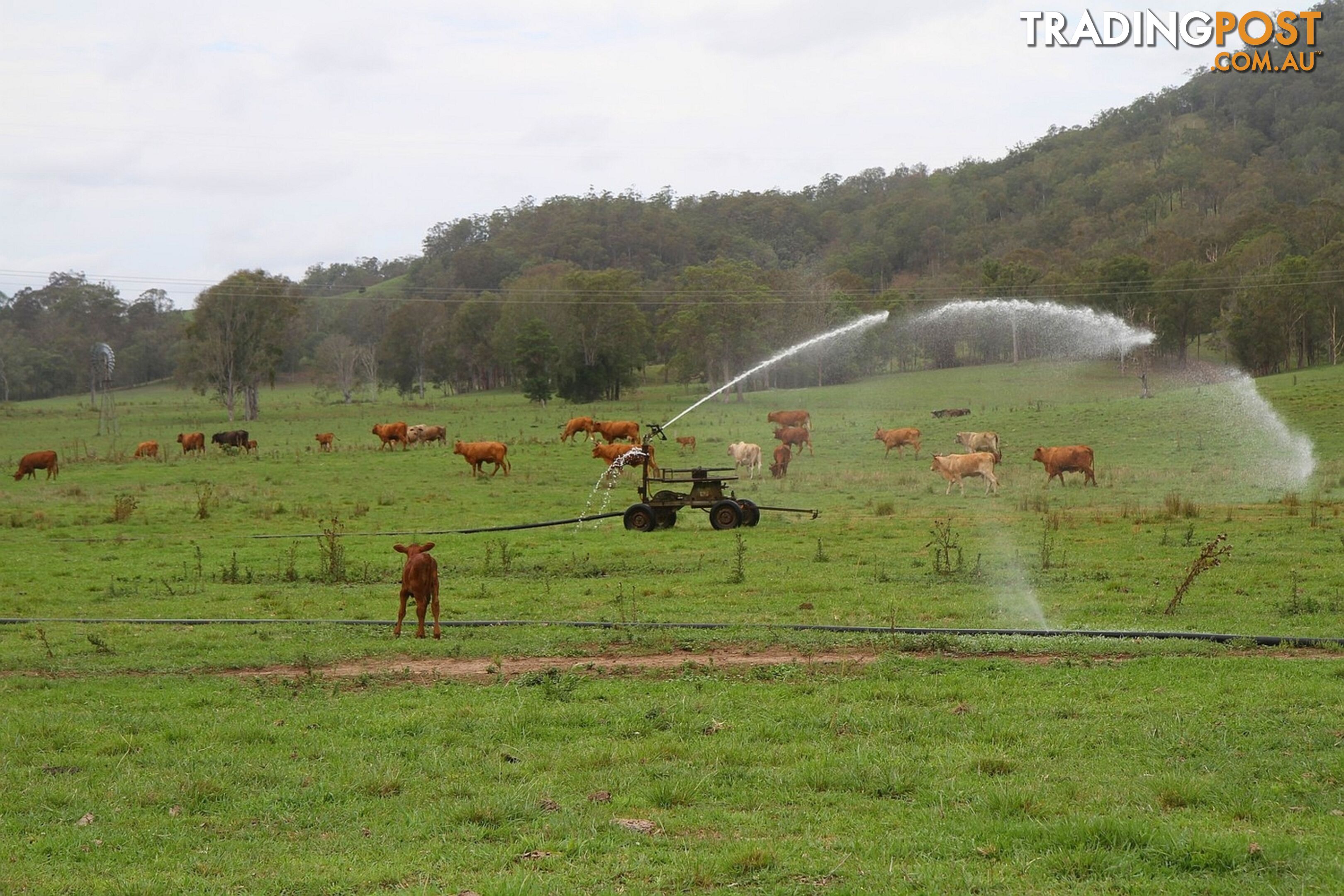 4015 Mary Valley Road Brooloo QLD 4570