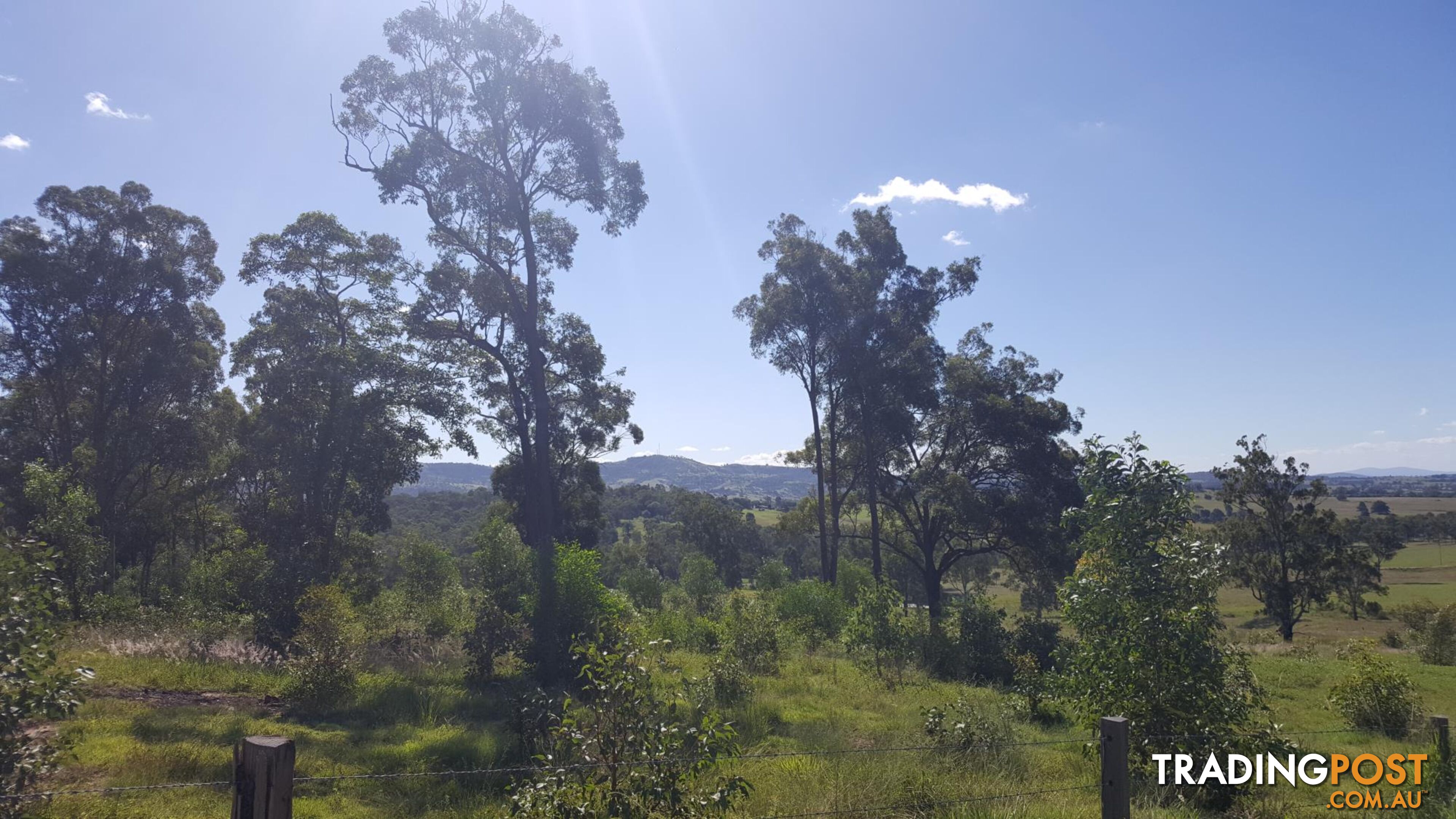 Lot 3 Claus Road HAIGSLEA QLD 4306