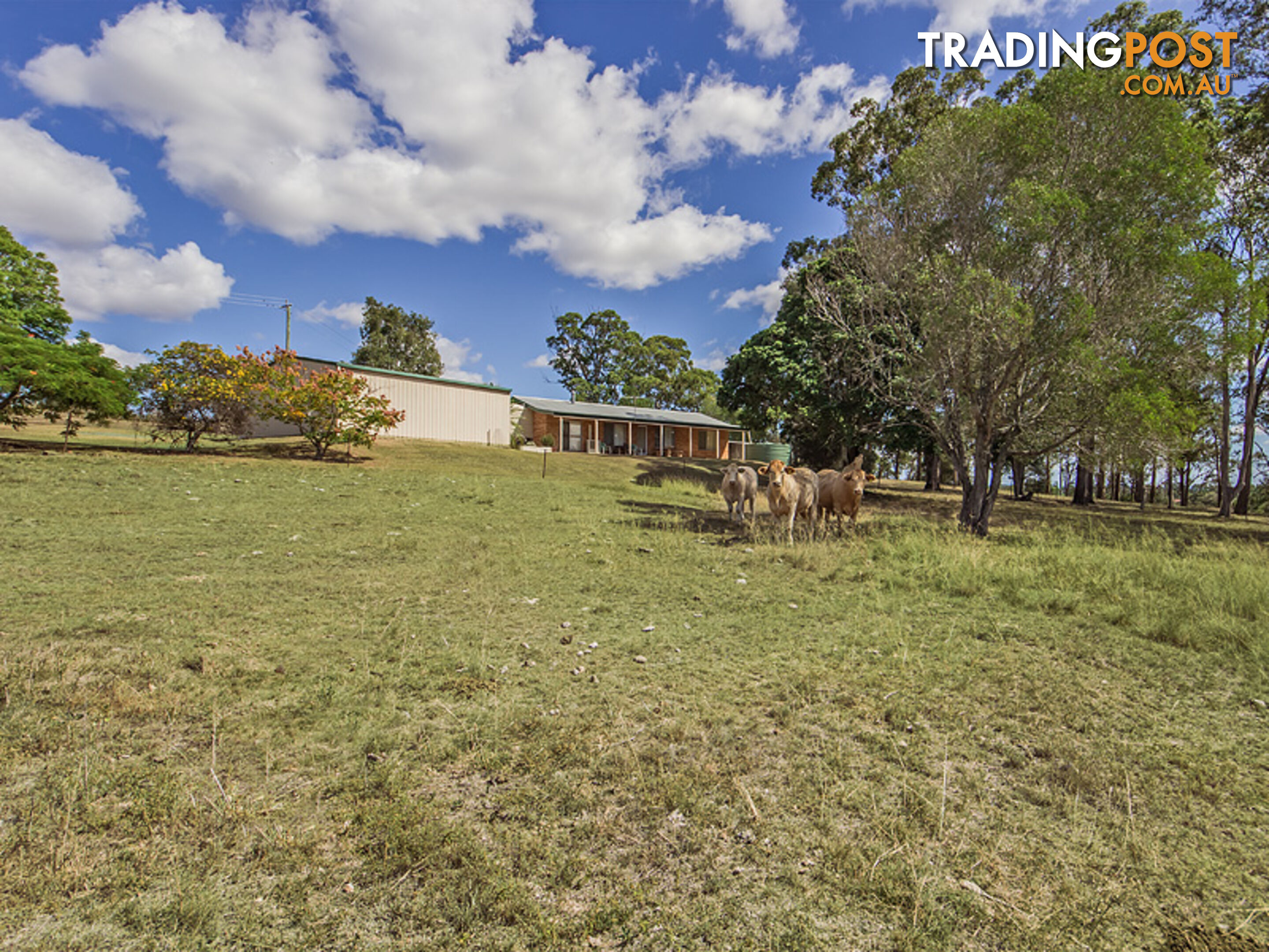 15 MUCKERTS LANE VERNOR QLD 4306