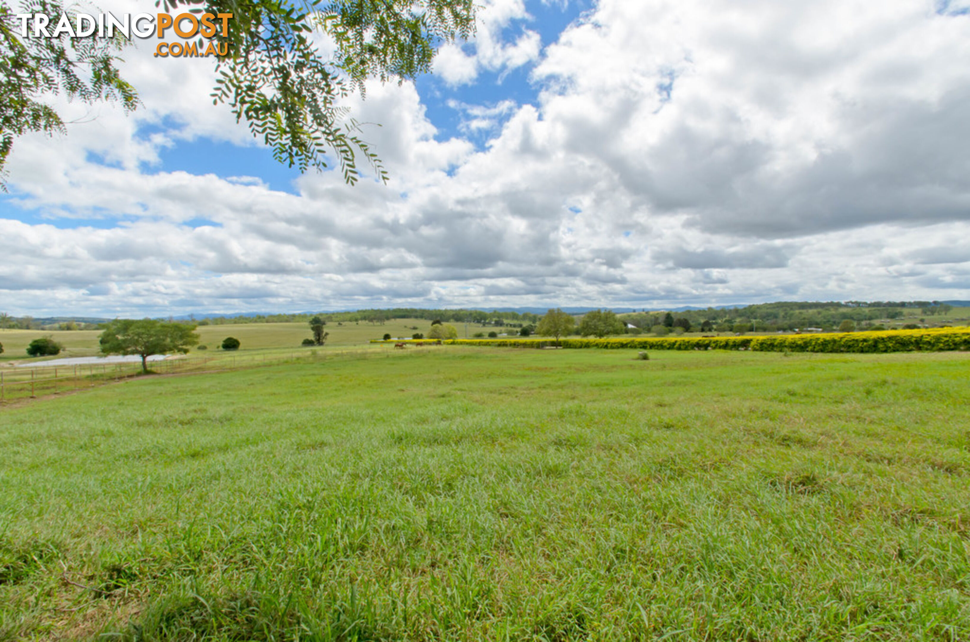 117 Retschlags Rd HAIGSLEA QLD 4306