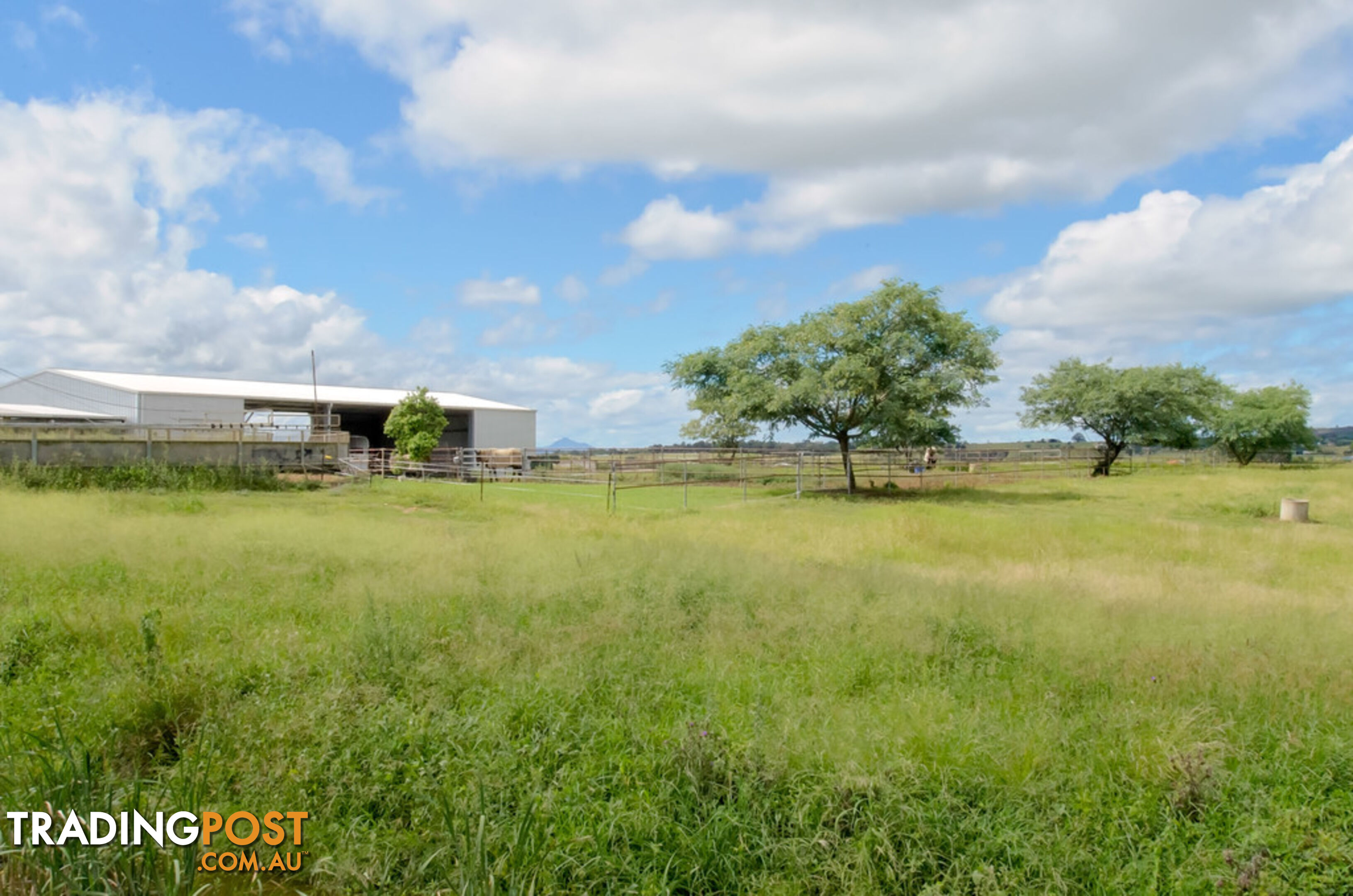 117 Retschlags Rd HAIGSLEA QLD 4306