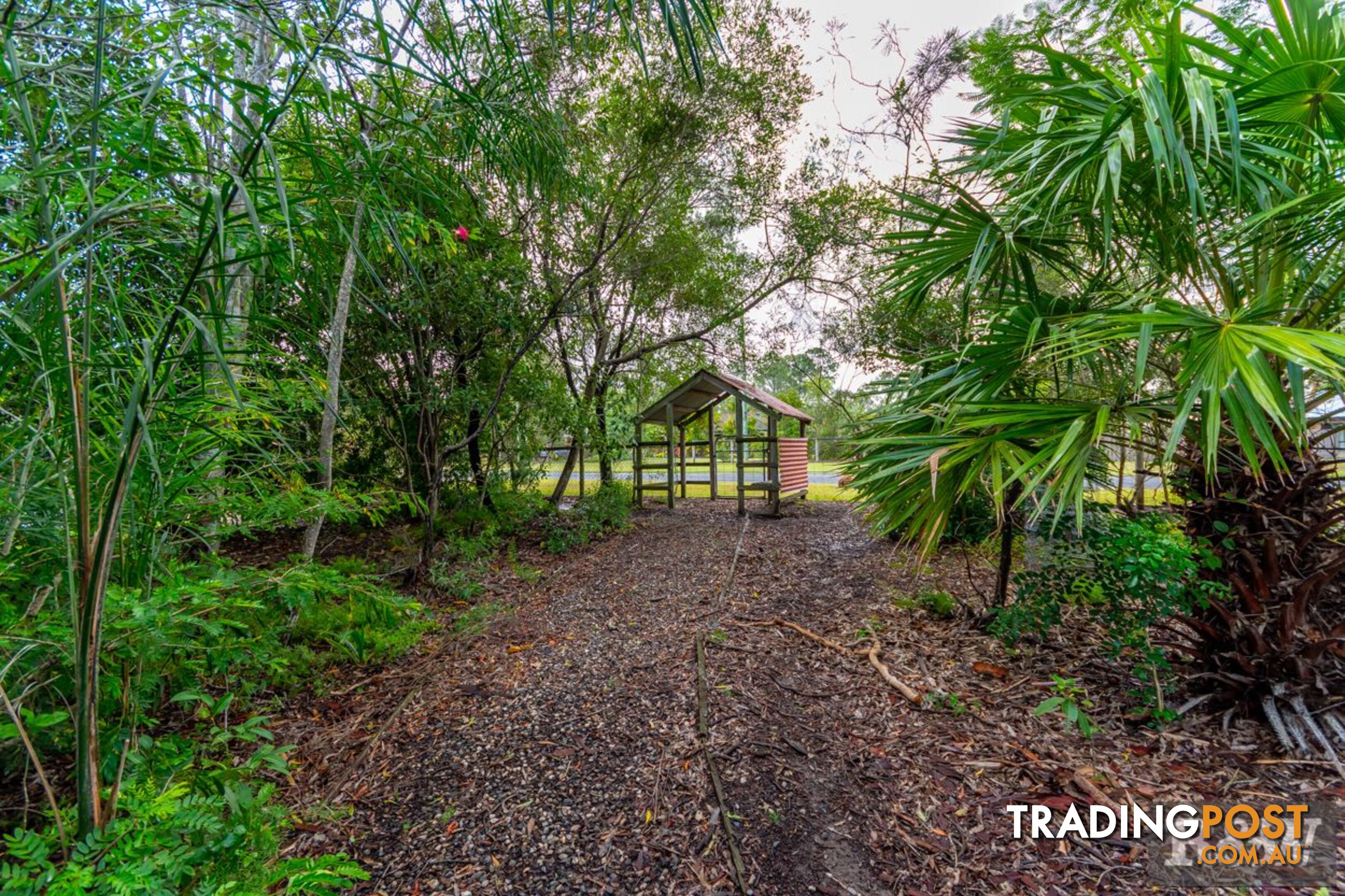 119 Riflebird Drive Upper Caboolture QLD 4510