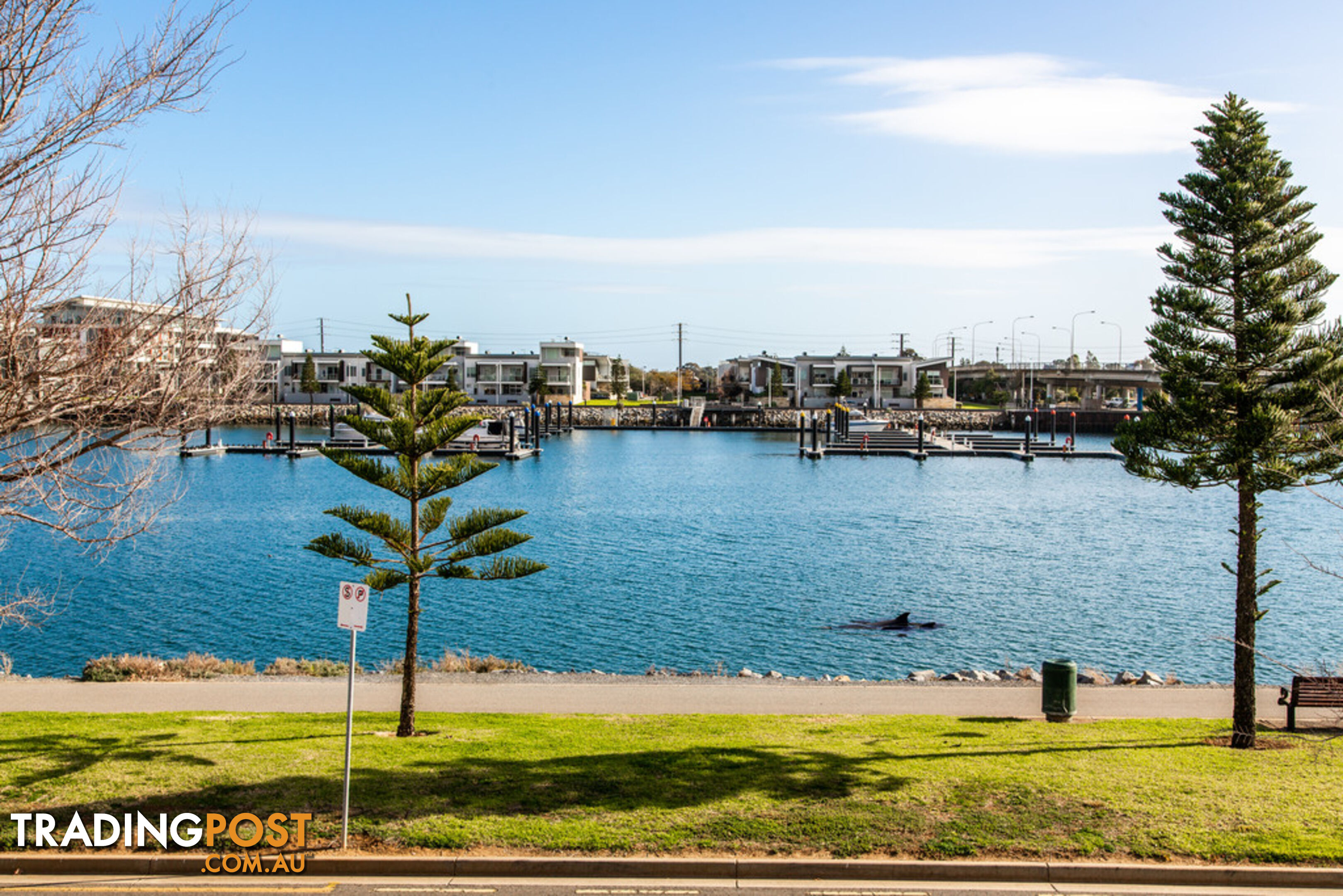 16 Knapman Crescent PORT ADELAIDE SA 5015