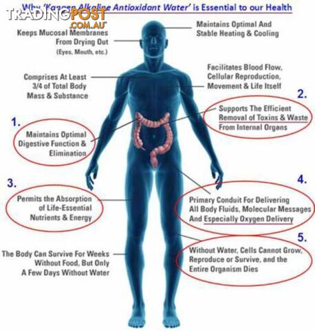 Alkaline Ionized Water Stick - photo 3 of 4