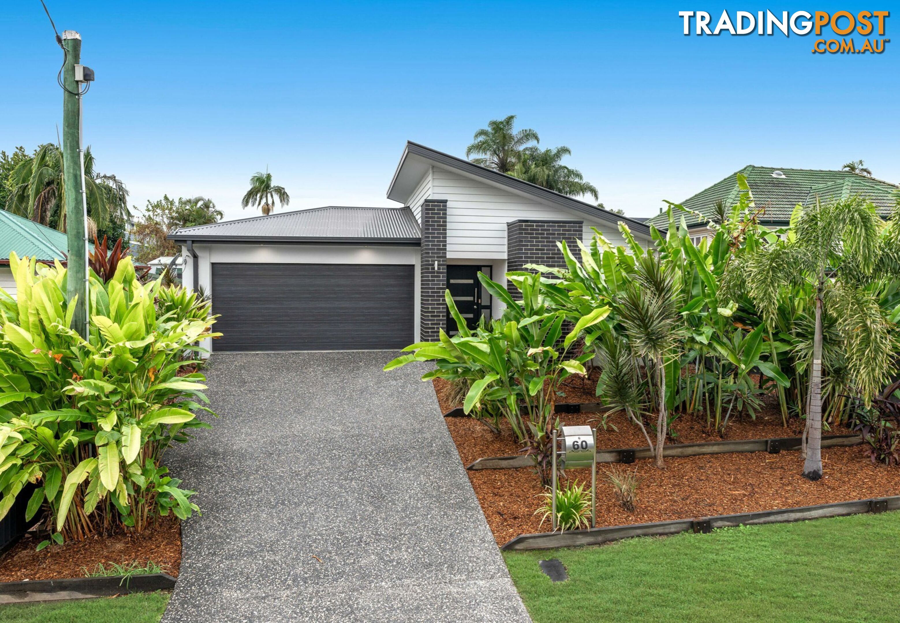 60 Imperial Avenue CANNON HILL QLD 4170