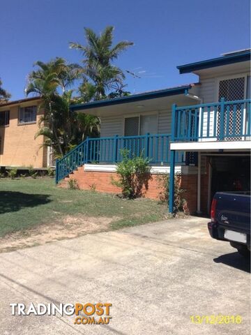 49 Ludwick Street CANNON HILL QLD 4170