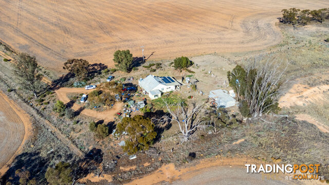 199 Olney-Zass Road BERRIWILLOCK VIC 3531