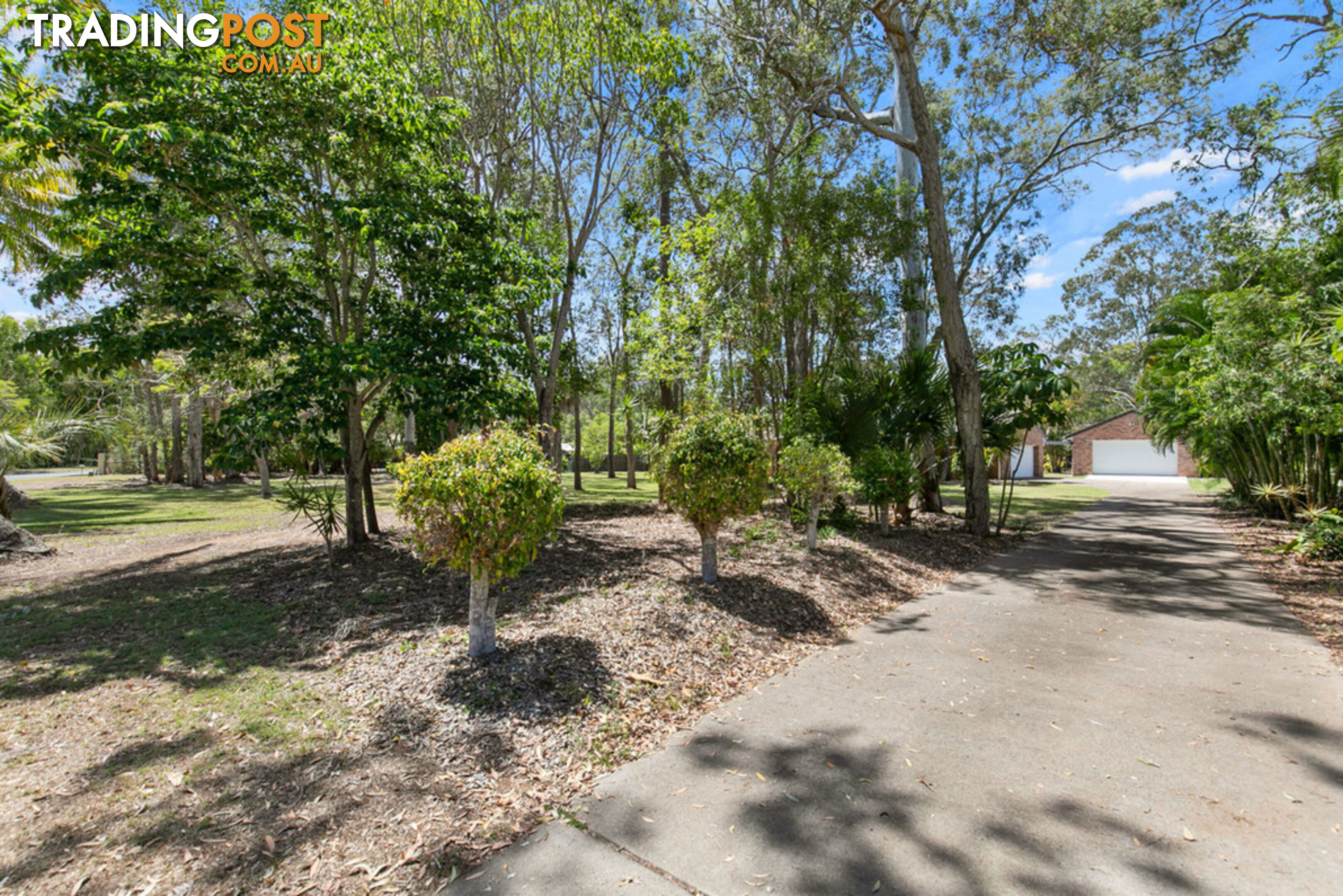 11 Palmwood Drive DUNDOWRAN BEACH QLD 4655