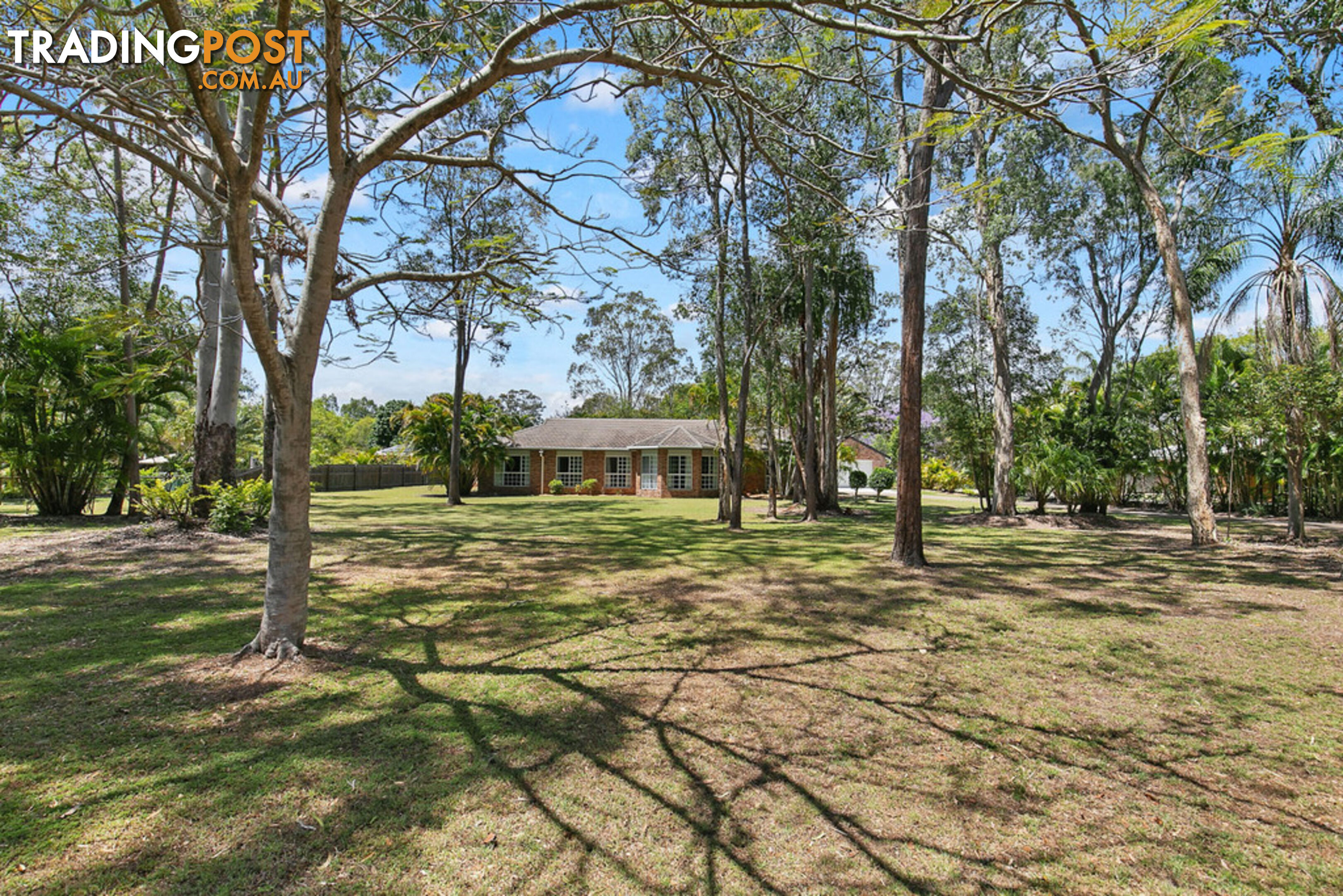 11 Palmwood Drive DUNDOWRAN BEACH QLD 4655