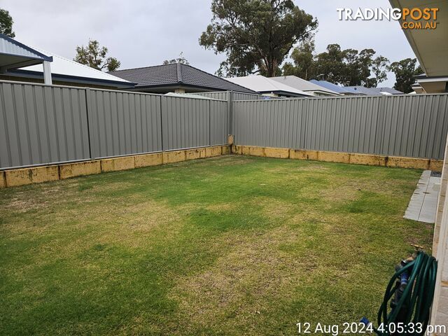 58 Corbridge Avenue WELLARD WA 6170