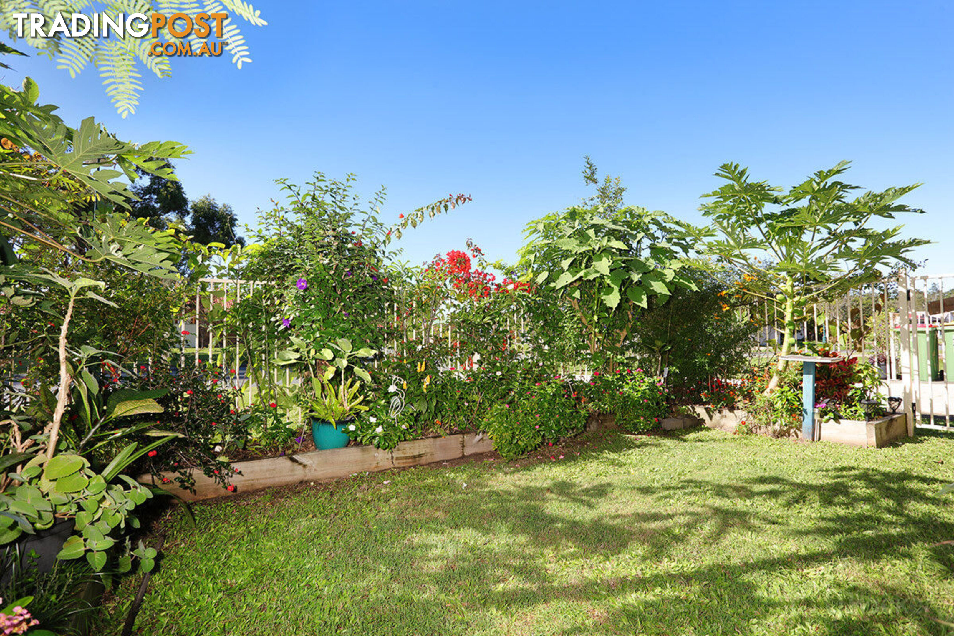 9 Numbat Court COOMBABAH QLD 4216