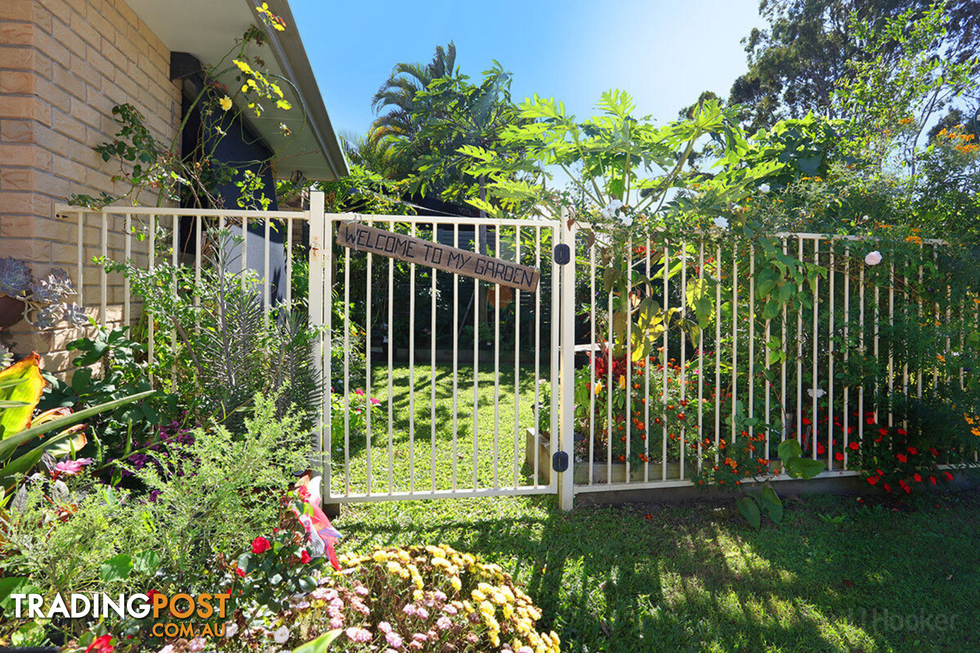 9 Numbat Court COOMBABAH QLD 4216