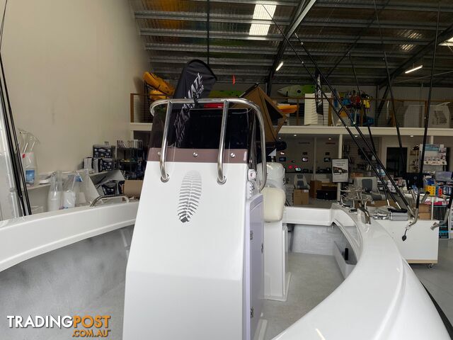 REMORA 490, TOWREX TRAILER AND 115HP SUZUKI PACKAGE - photo 2 of 12