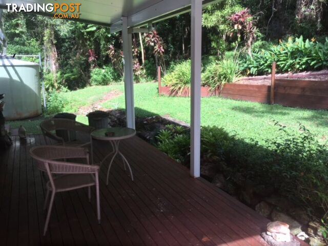 841 Cape Tribulation Road, Kimberley DAINTREE QLD 4873