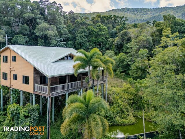 195 Cape Kimberley Road DAINTREE QLD 4873