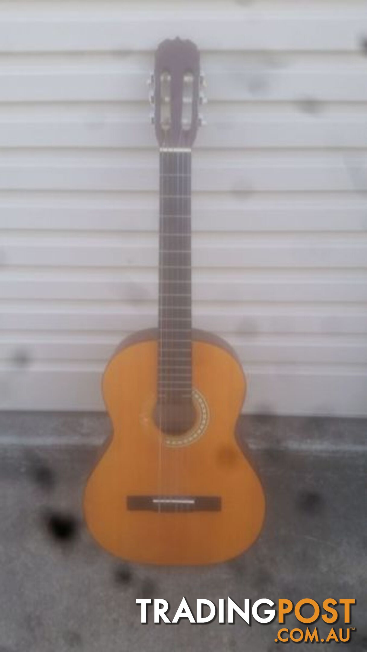 GUITAR ODESSA MODEL C 6 M