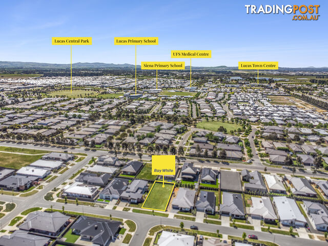 18 Hutchinson Drive LUCAS VIC 3350