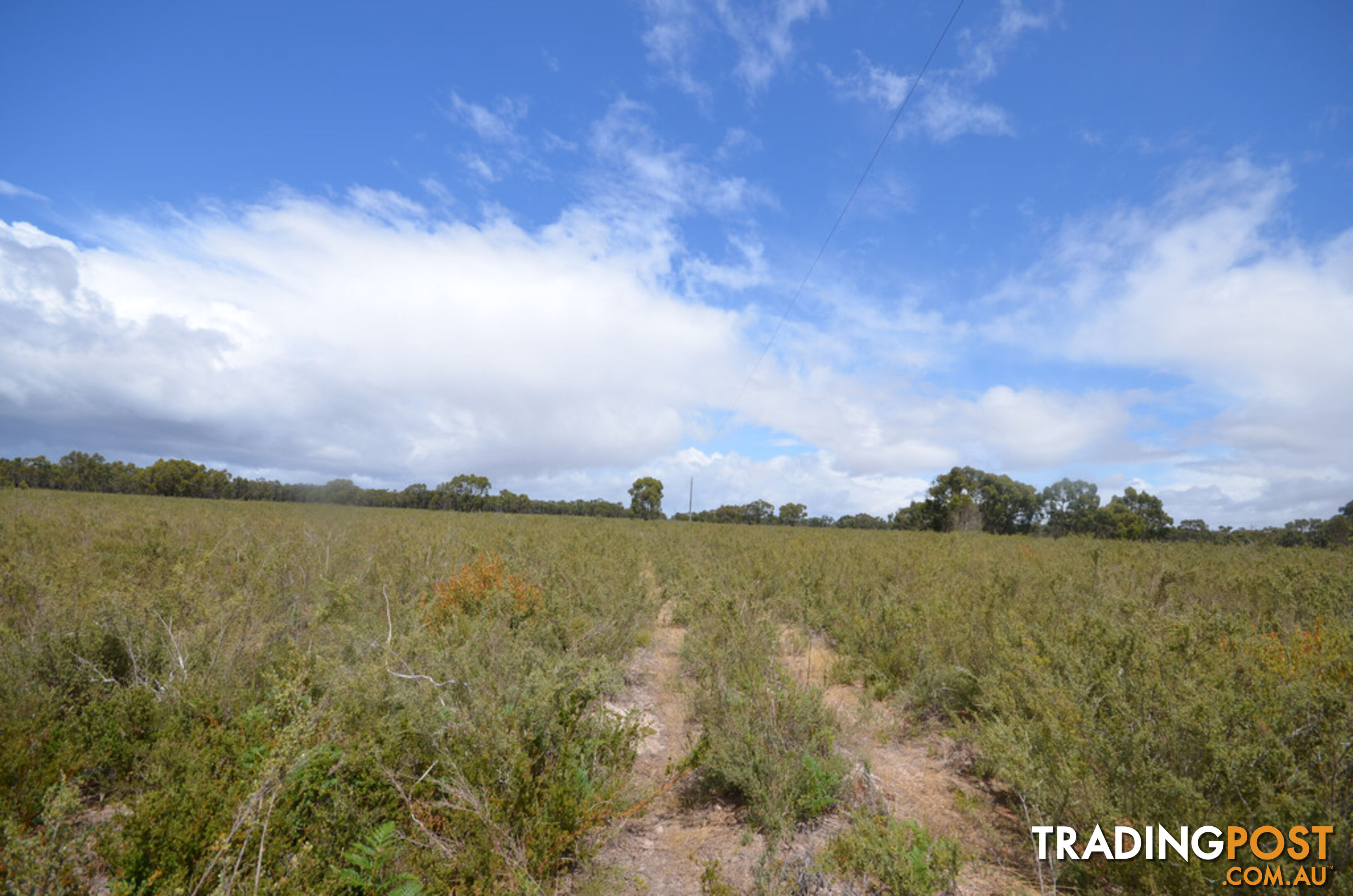 Lot 40 Scrubby Lake Road EDENHOPE VIC 3318