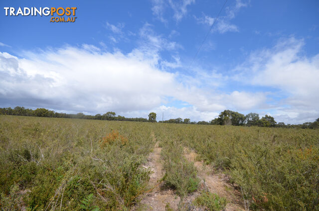 Lot 40 Scrubby Lake Road EDENHOPE VIC 3318