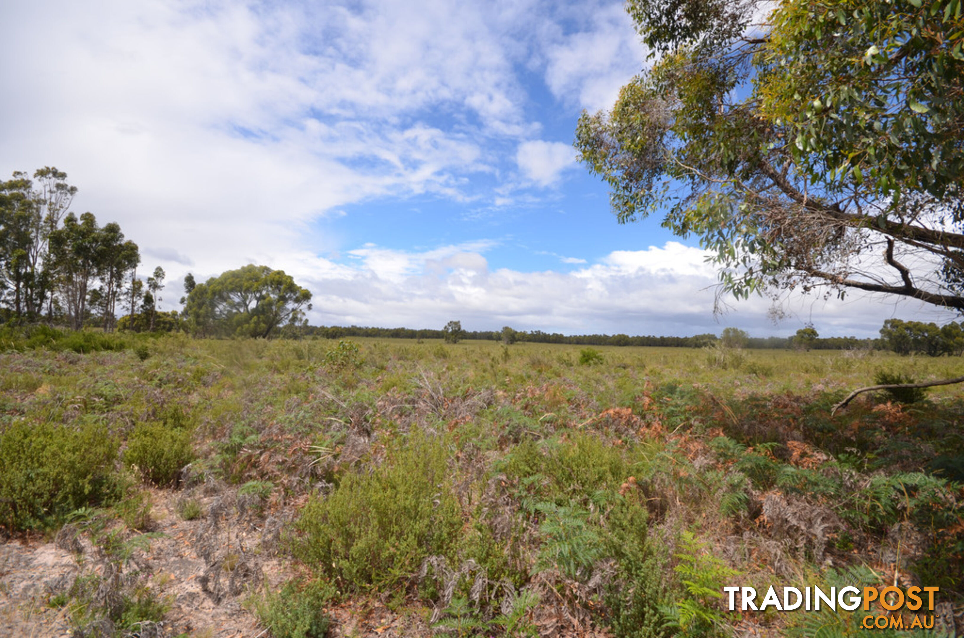 Lot 40 Scrubby Lake Road EDENHOPE VIC 3318