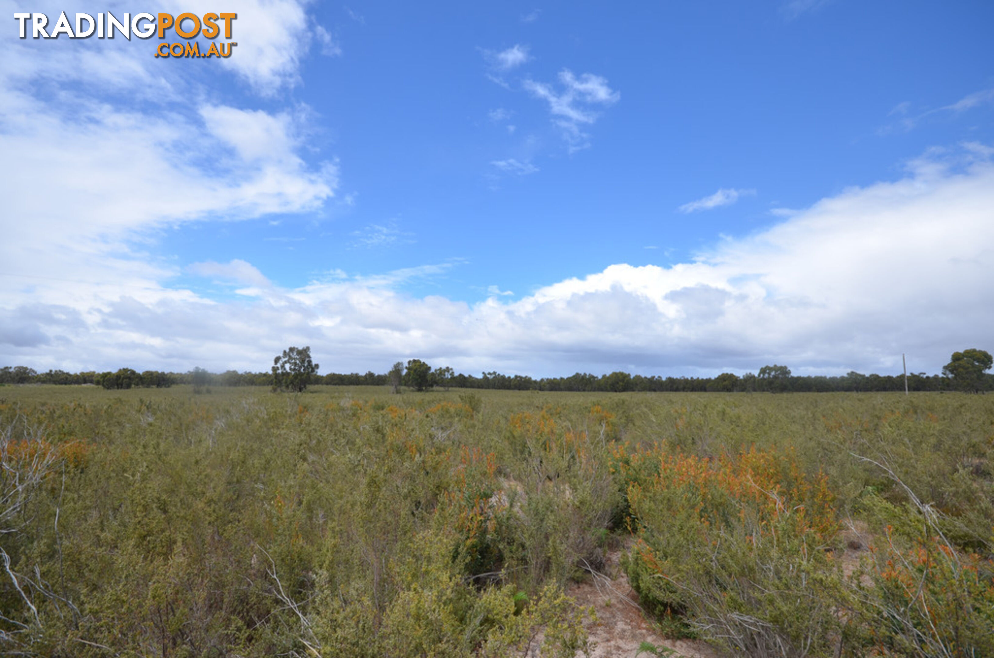 Lot 40 Scrubby Lake Road EDENHOPE VIC 3318